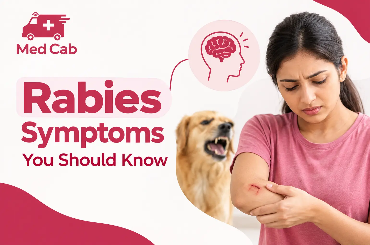 Rabies Symptoms, Dog Bite Treatment & Anti-Rabies Vaccine: What You Need to Know