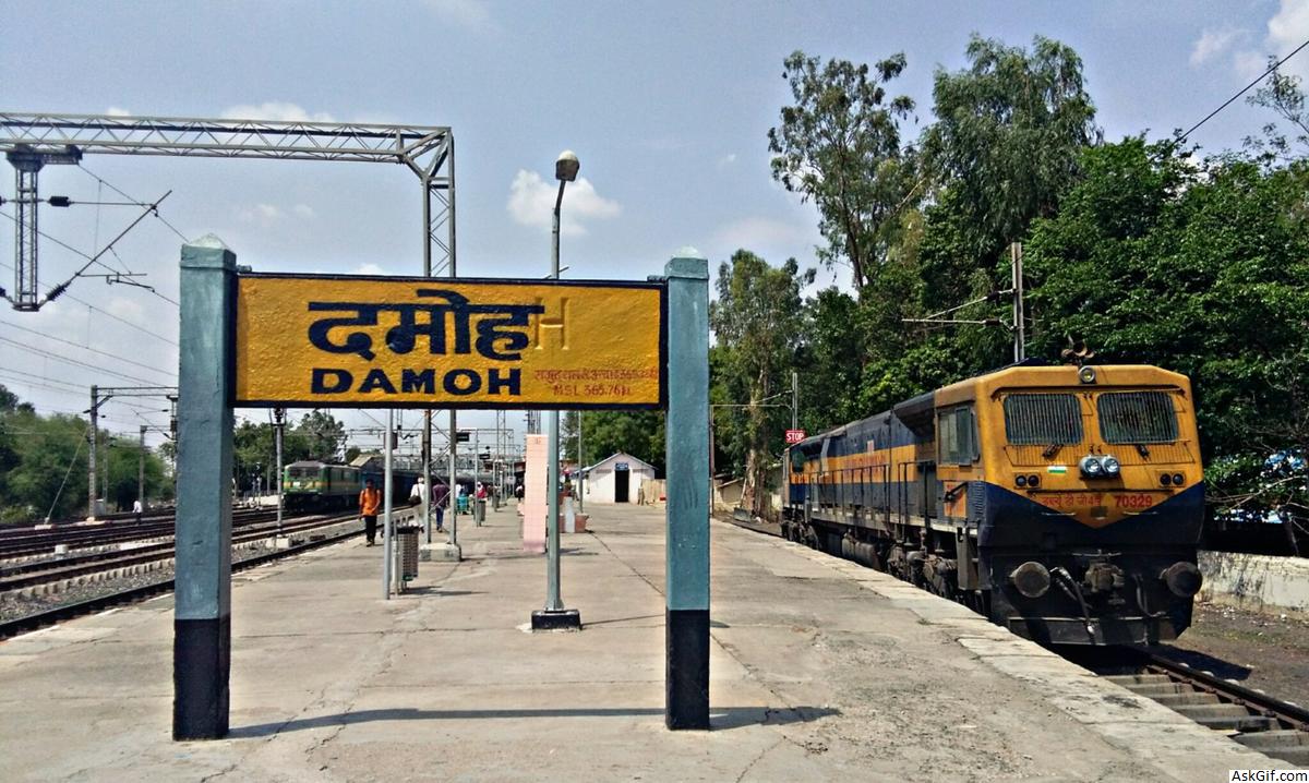 Damoh ambulance service