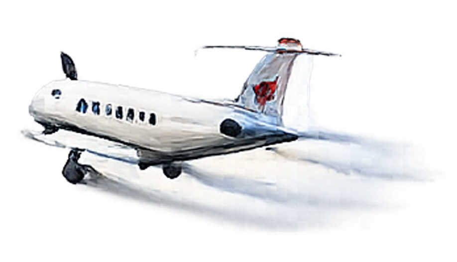 air ambulance service in lucknow